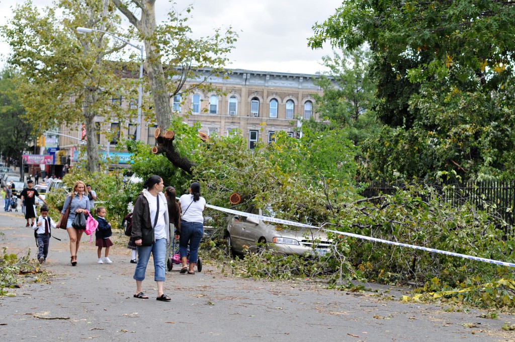 brooklyn tornado 1